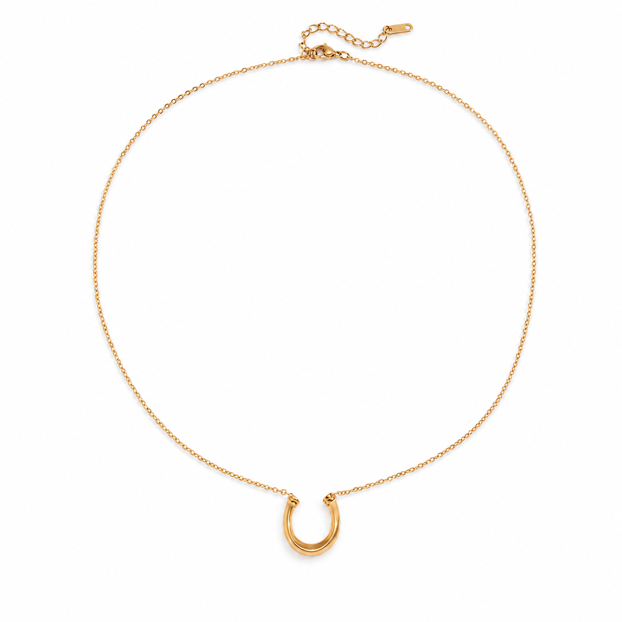 Chunky Horseshoe Necklace