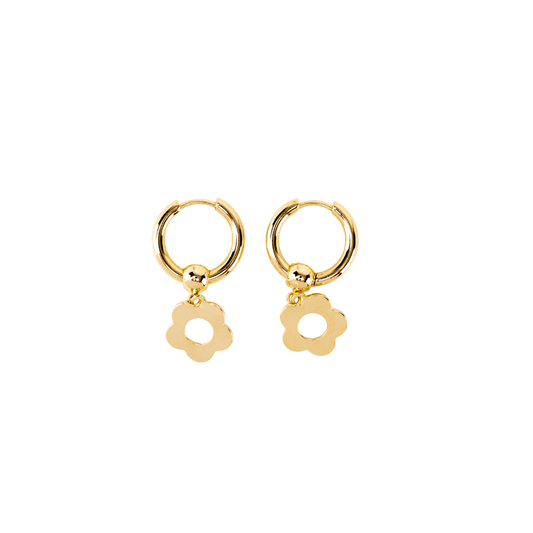 Daisi Hoops